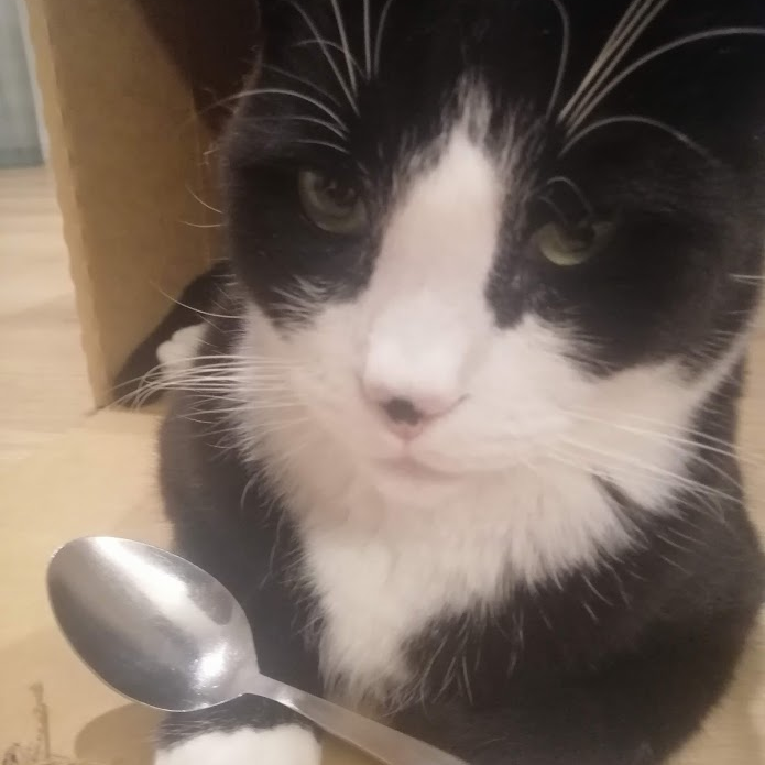 A picture of Boris proudly holding his spoon